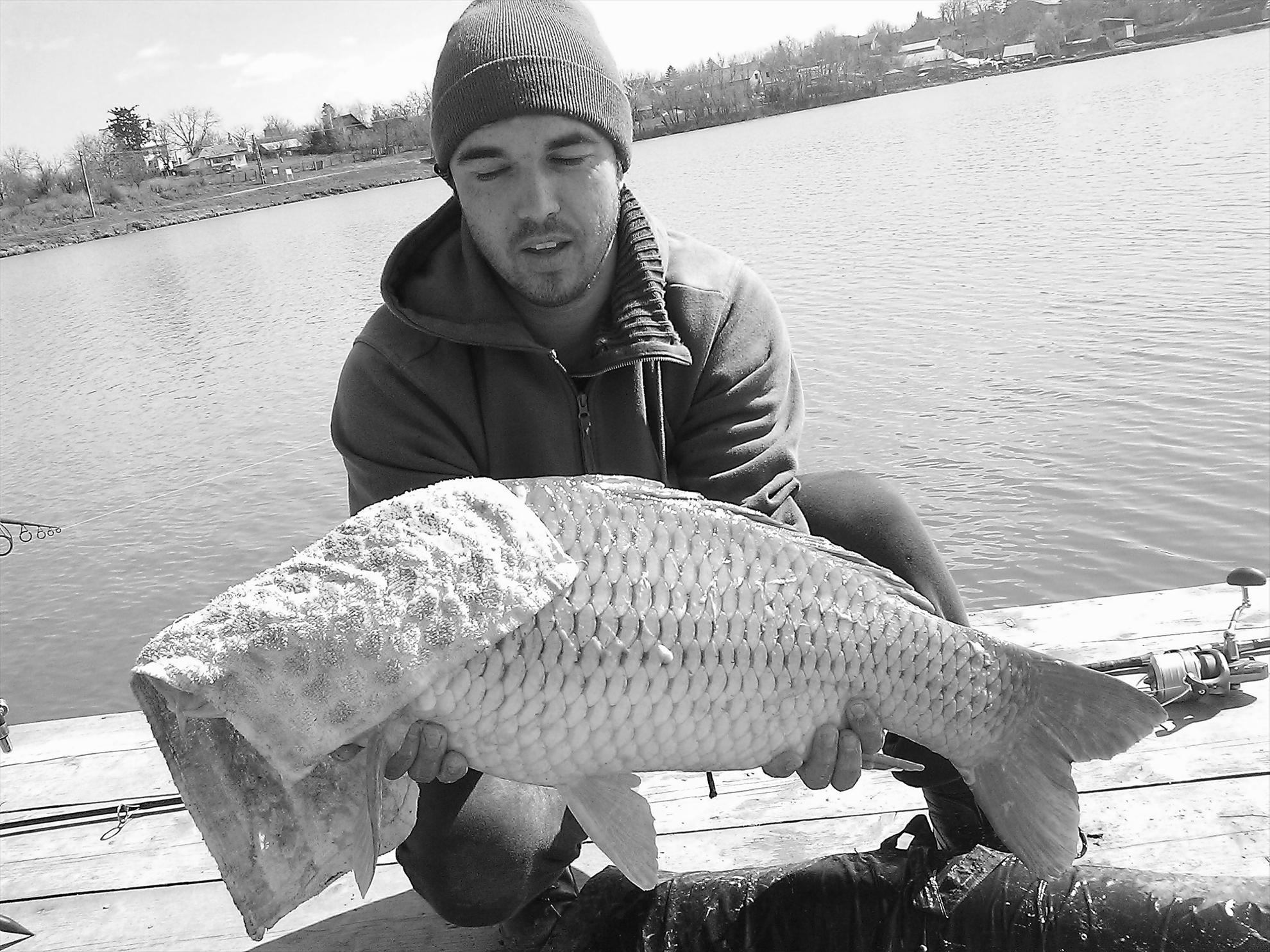 Fa-i poza daca poti... - wp201303230491.jpg